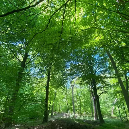 Luxushaus Boddenkueste Mit Sauna * Fuhlendorf (Mecklenburg-Vorpommern)